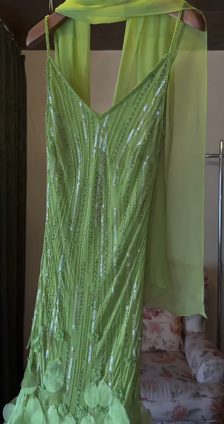 Chic Green Long Prom Dress Sheath Chiffon Beaded Evening Dress ED10363