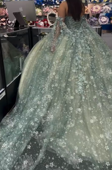 Fairy Green Ball Gown Sweet 16 Dress Tulle Applique Quinceanera Dress ED10387