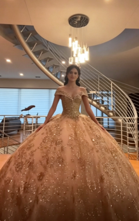 Feenhaftes Ballkleid in Gold, Sweet 16 Kleid, Tüll-Applikationen, Quinceanera Kleid ED10391