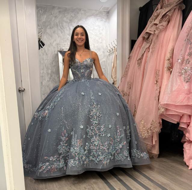 Fairy Grey Blue Ball Gown Sweet 16 Dress Tulle Applique Quinceanera Dress ED10394
