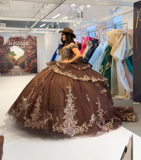 Märchenhaftes braunes Ballkleid, Sweet 16 Kleid, Tüll-Applikation Quinceanera Kleid ED10395