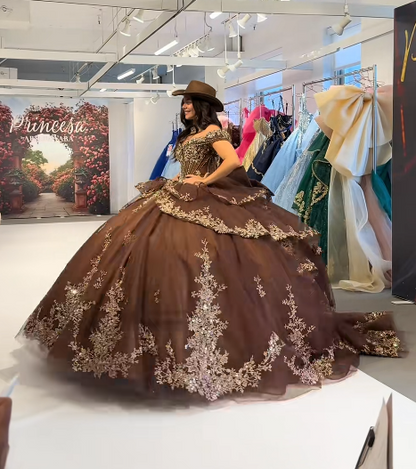 Märchenhaftes braunes Ballkleid, Sweet 16 Kleid, Tüll-Applikation Quinceanera Kleid ED10395