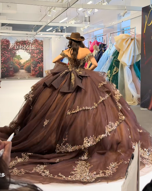 Märchenhaftes braunes Ballkleid, Sweet 16 Kleid, Tüll-Applikation Quinceanera Kleid ED10395