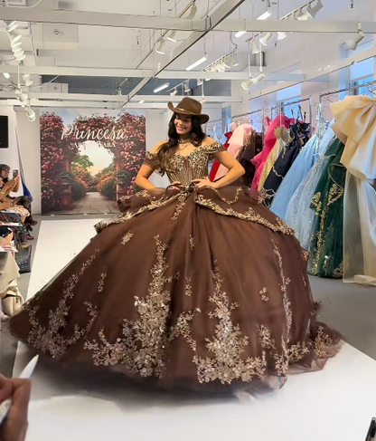 Märchenhaftes braunes Ballkleid, Sweet 16 Kleid, Tüll-Applikation Quinceanera Kleid ED10395