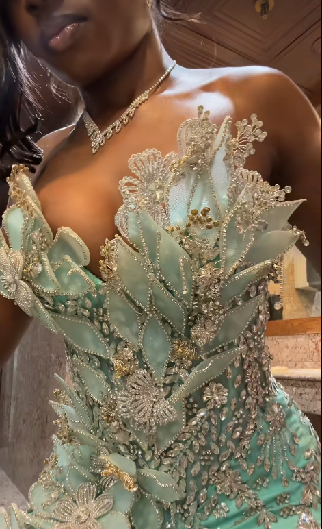 Elegant Green Prom Dress Sheath Tulle Beaded Long Evening Dress  ED10566