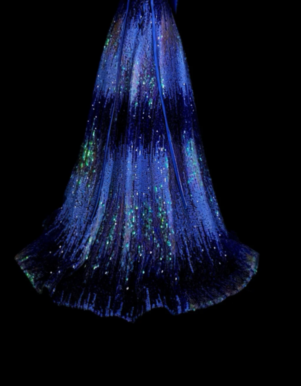Elegant Navy Blue Prom Dress Sheath Sequins Long Evening Dress ED10575