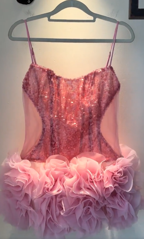 Fashion Pink Short Homecoming Dress Sheath Tulle Birthday Dress ED10825