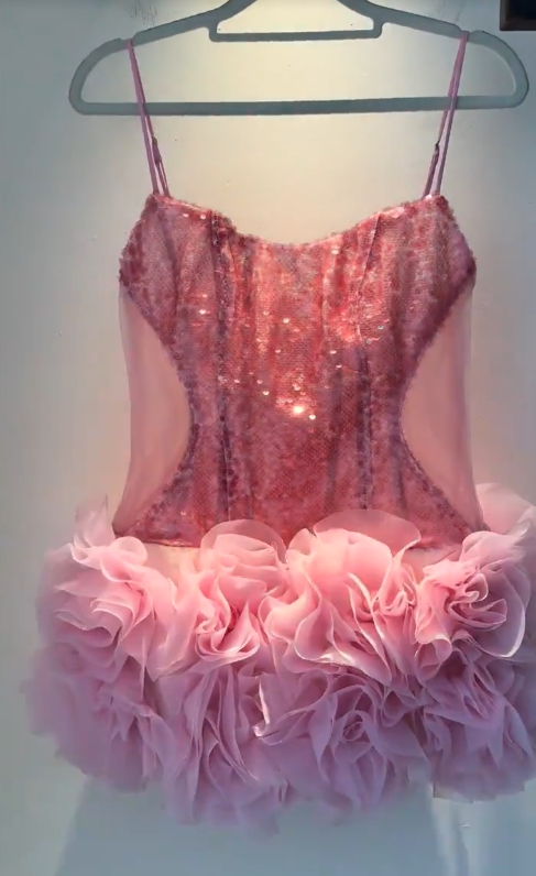 Fashion Pink Short Homecoming Dress Sheath Tulle Birthday Dress ED10825