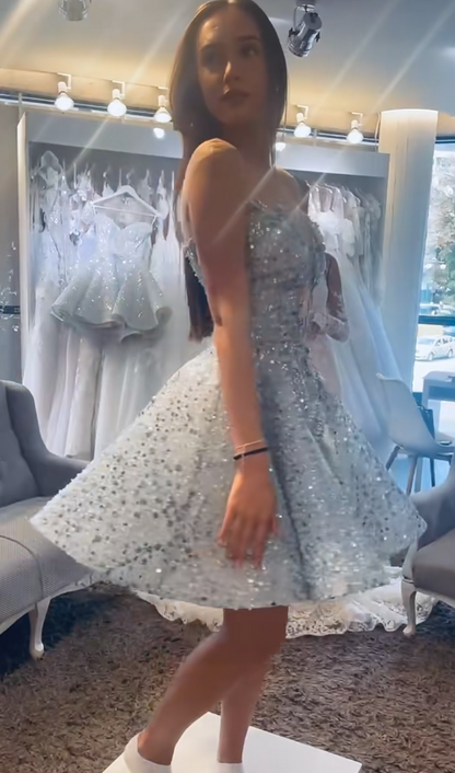 Fashion Pale Blue Short Homecoming Dress A-Line Tulle Birthday Dress ED10829