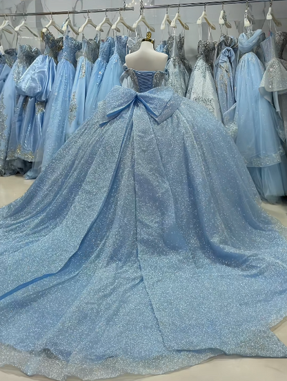 Wunderschönes Ballkleid Quinceanera-Kleid Tüll Hellblau Sweet 16 Kleid ED10897