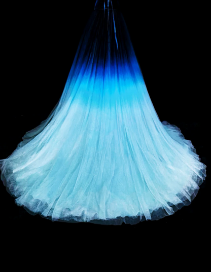 Strapless Blue Prom Dresses A-line Long Tulle Evening Gowns ED10985