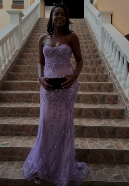Purple Beaded Prom Dress Sheath Long Tulle Evening Dress ED11027
