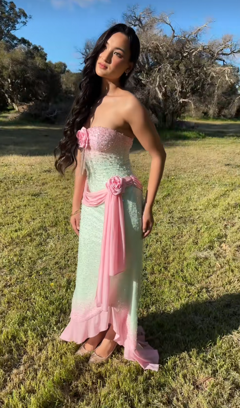 Pink Beaded Prom Dress Green Chiffon Long Evening Dress ED11047