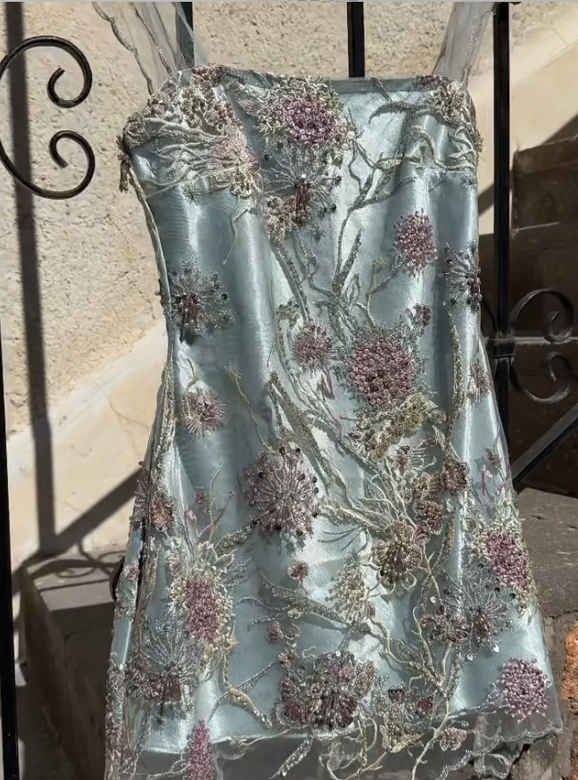Pretty Blue Short Homecoming Dress Sheath Applique Birthday Party Dress ED11145