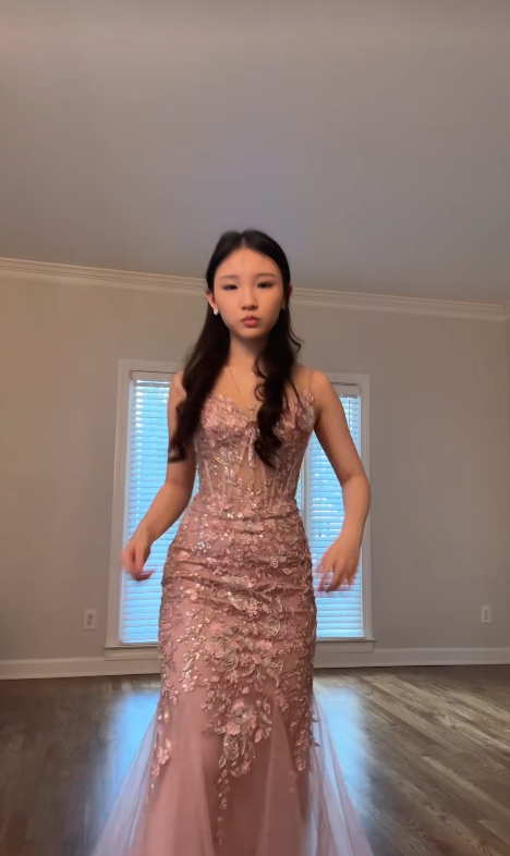 Robe de bal chic rose fourreau en tulle avec appliques longue robe de soirée ED11209