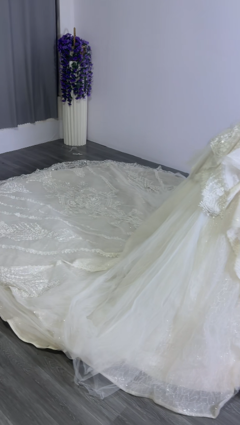 Timeless White Lace Wedding Dress A-Line Bridal Gown ED11490