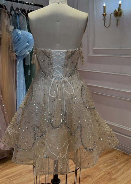 Fashion Champagne Short Prom Dress Tulle Beaded Party Dress A-Line Birthday Dress ED12051