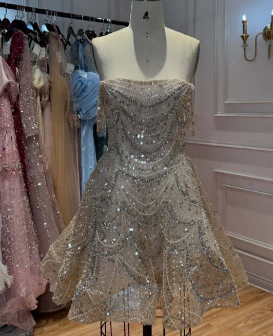 Fashion Champagne Short Prom Dress Tulle Beaded Party Dress A-Line Birthday Dress ED12051