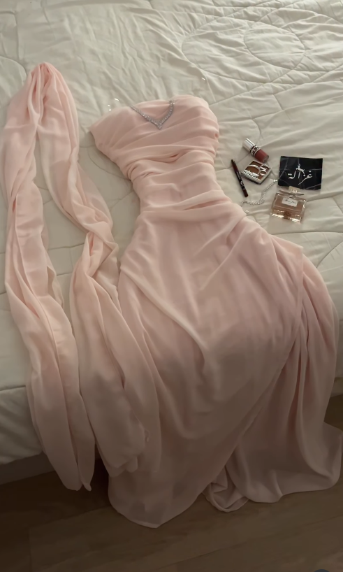 Chic Pink Prom Dress Sheath Chiffon Long Evening Dresses ED12107