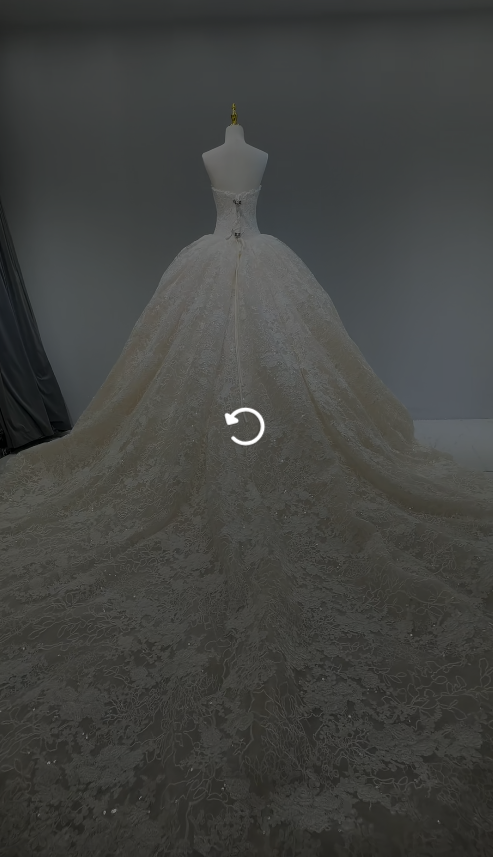 Robe de mariée blanche intemporelle de coupe trapèze en dentelle perlée ED12172
