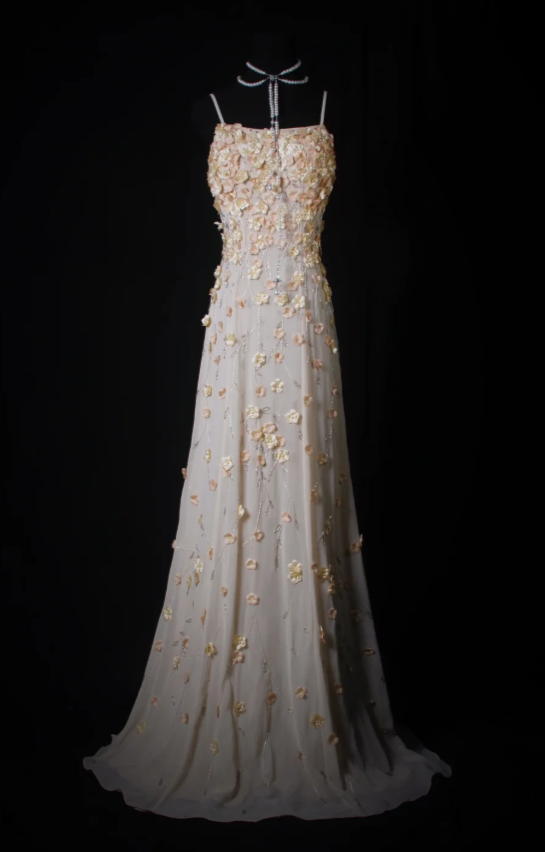 Vintage Sheath Long Prom Dresses Appliques Chiffon Spaghetti Straps Formal Dresses Sleeveless Evening Dresses EP06007