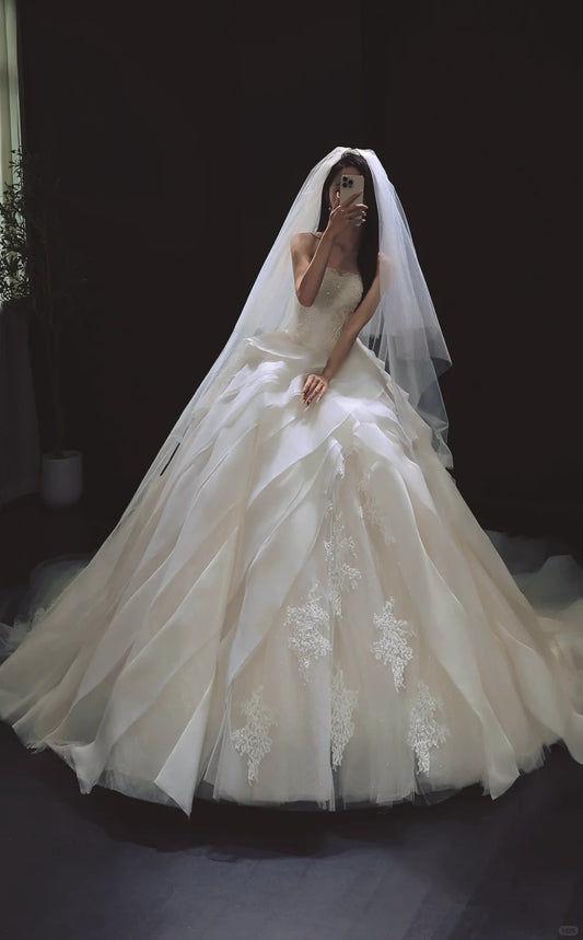Elegant White Ball Gown Tulle Wedding Dress Applique Strapless Bridal Gown with Veil EW016