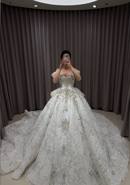 Modest Off-shoulder A-Line  Wedding Dress Lace Bridal Gowns Sleeves White Birdal Dress EW04756