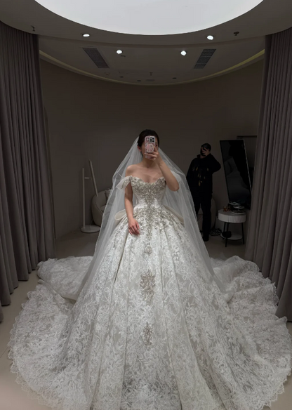 Modest Off-shoulder A-Line  Wedding Dress Lace Bridal Gowns Sleeves White Birdal Dress EW04756