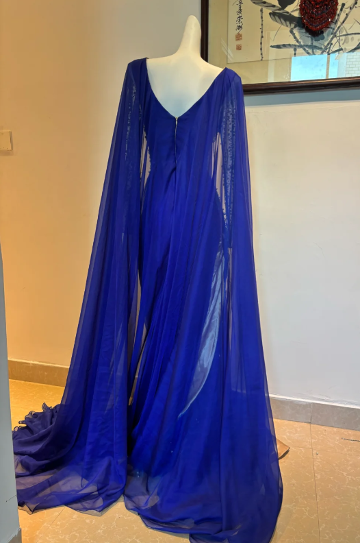 Elegant V-neck Sheath Tulle Long Prom Dresses, Royal Blue Formal Evening Dresses EW057